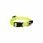 Rogz Classic Collar Dayglo