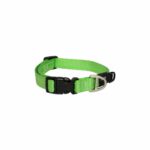 Rogz Classic Collar Lime