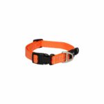 Rogz Classic Collar Orange