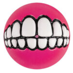 Rogz Grinz Ball Pink