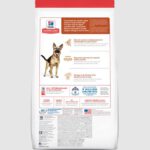 Hills Science Diet Adult 7+ Large Breed Dry Dog Food Back