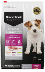 Black hawk puppy lamb