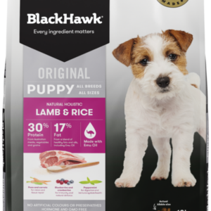 Black hawk puppy lamb