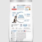 Hills Science Diet Oral Care Adult Dry Cat Food Back