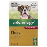 Advantage For Dogs 10 - 25kg