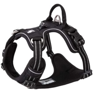 Truelove Explosion-Proof Harness Black Side