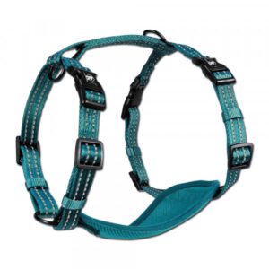 ACT124 Alcott Adventure Nylon Harness Blue Medium