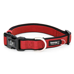 Bainbridge Premium Sport Collar Red