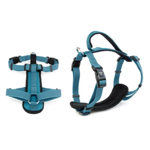 Bainbridge Premium Sport Dog Harness Blue